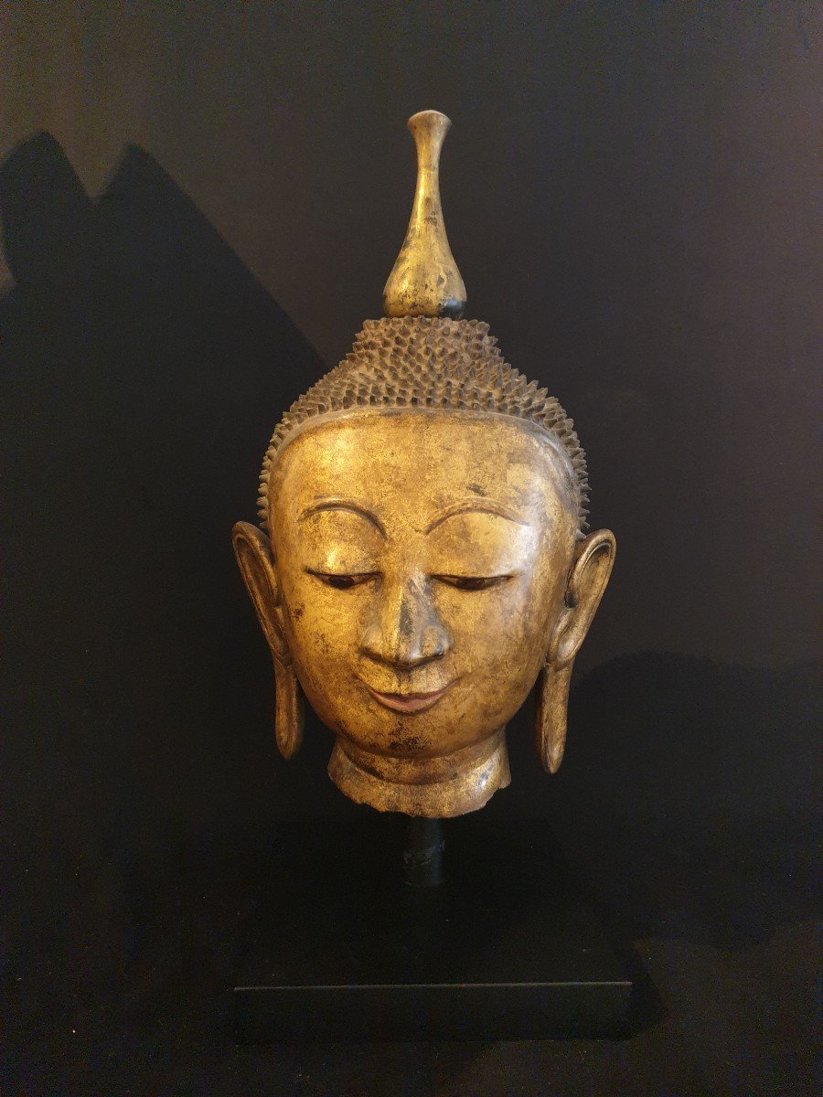 Birmanie - Tête De Bouddha En Laque Sèche Dorée - 51 Cm