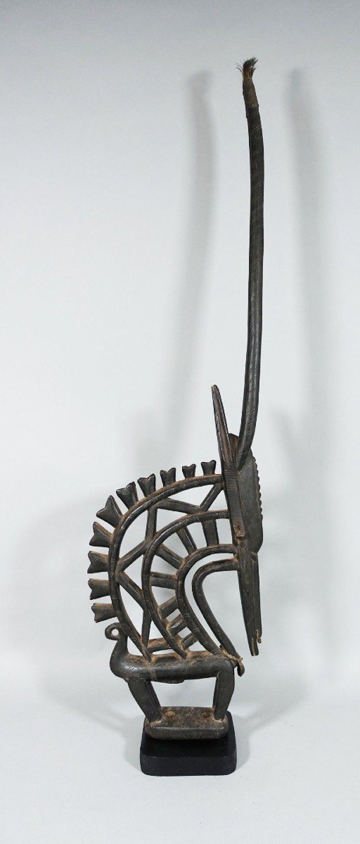 Bambara (mali) - Large Male Antelope - 110 Cm