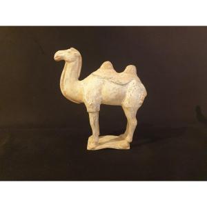 China - Camel - Tang Dynasty - 31.5 Cm - Certificate