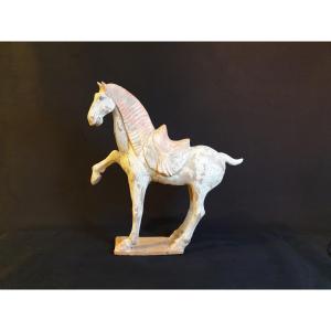 Dynastie Tang (618-907) - Cheval "prancing" - 47,5 cm - avec test