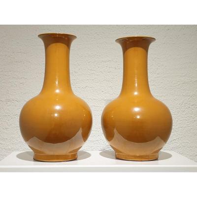 Paire De Vases