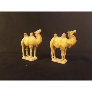 China - Pair Of Camels - Tang Dynasty - Certificate