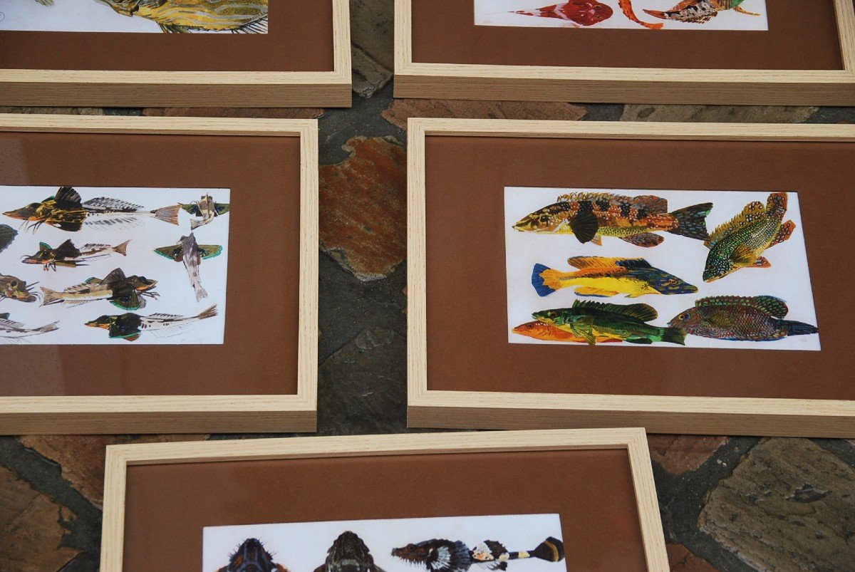 Mathurin Meheut, Suite Of 10 Frames, After The Study Of The Sea-photo-1