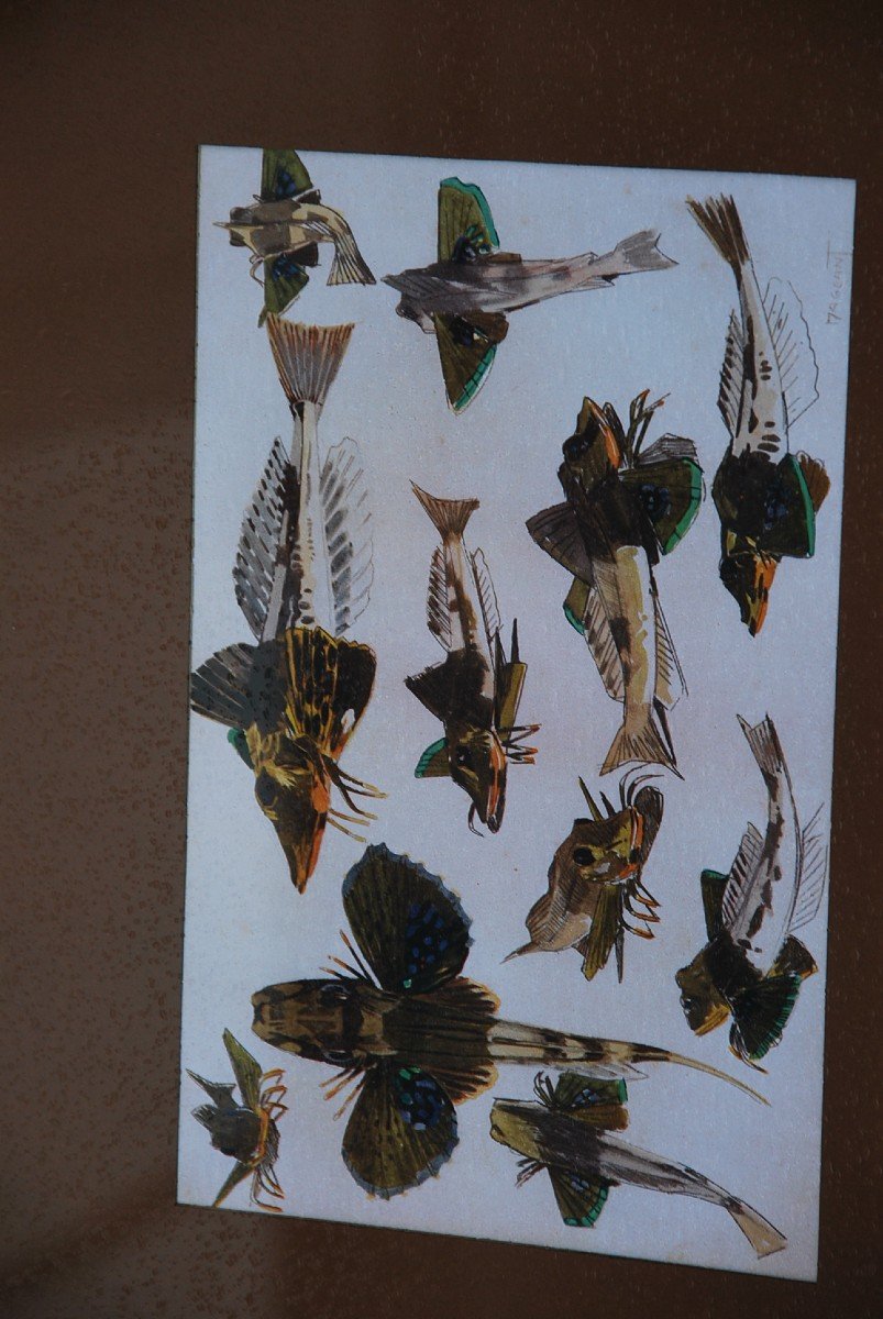 Mathurin Meheut, Suite Of 10 Frames, After The Study Of The Sea-photo-7