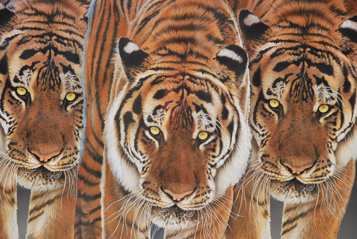 Les Trois Tigres , Grand Pastel De René Lemoigne-photo-2