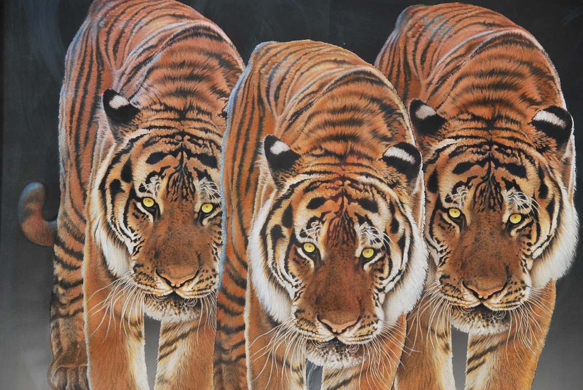 Les Trois Tigres , Grand Pastel De René Lemoigne-photo-3