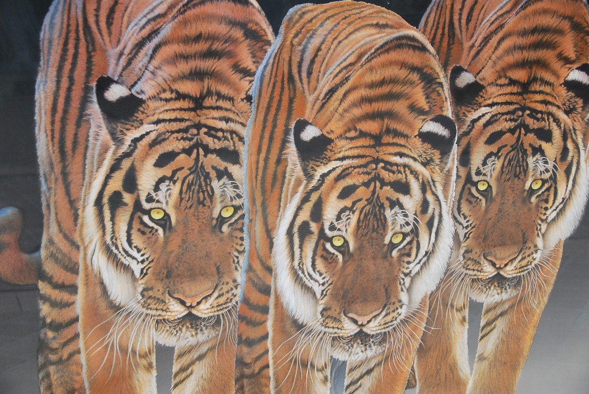 Les Trois Tigres , Grand Pastel De René Lemoigne-photo-8