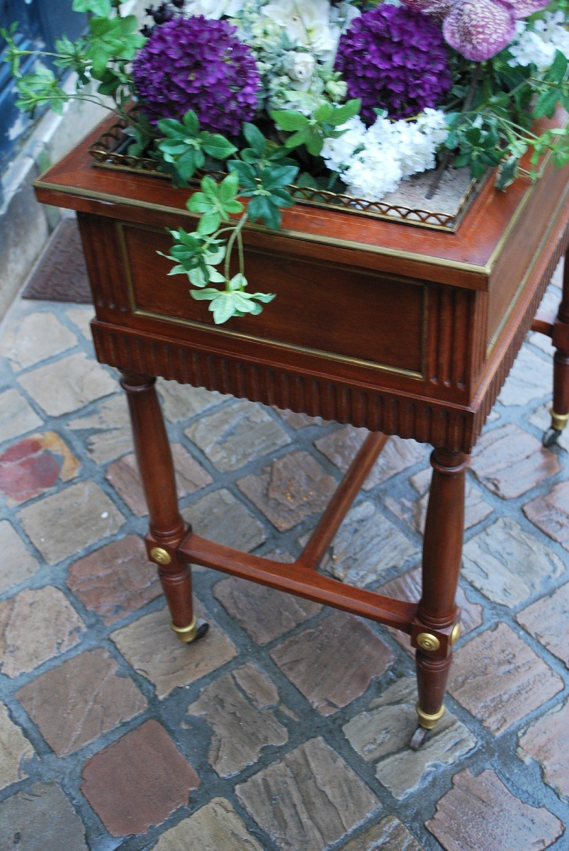 Louis XVI Period Mahogany Planter-photo-3