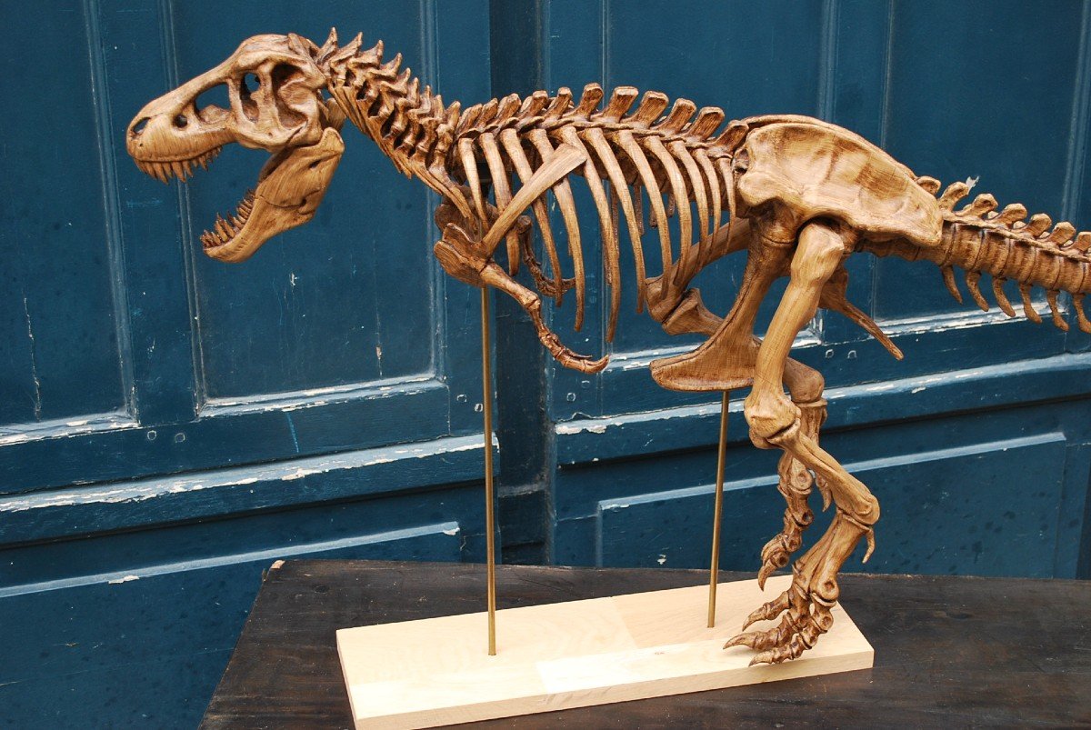 Complete T-rex Skeleton Print -photo-2