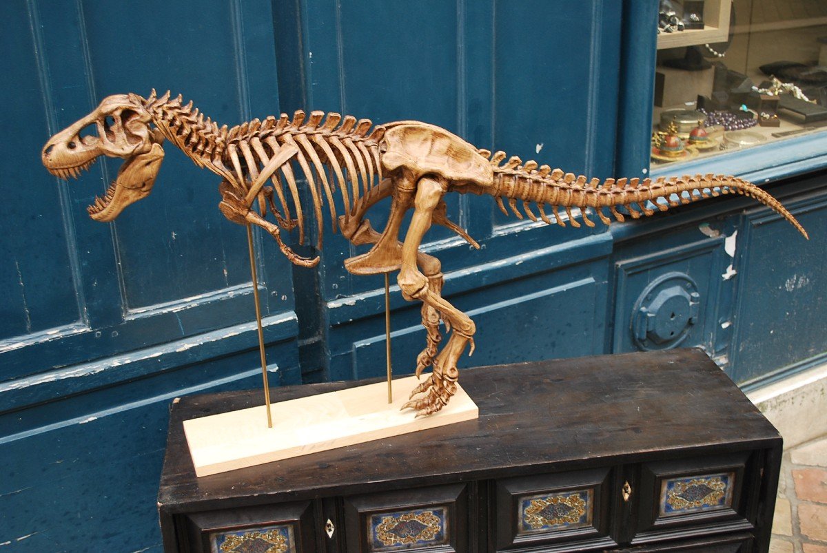 Complete T-rex Skeleton Print -photo-4