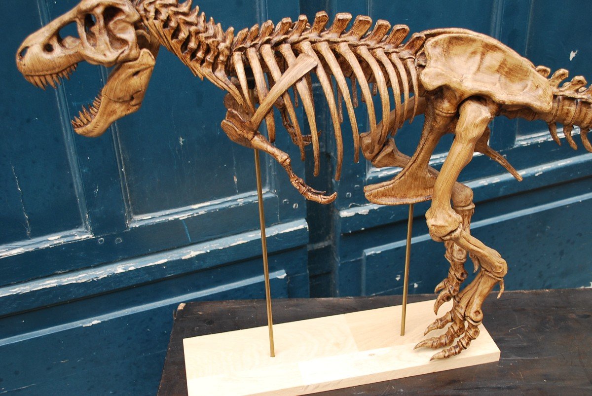 Complete T-rex Skeleton Print -photo-1