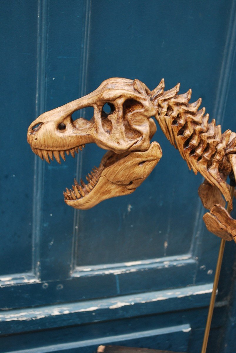 Complete T-rex Skeleton Print -photo-2