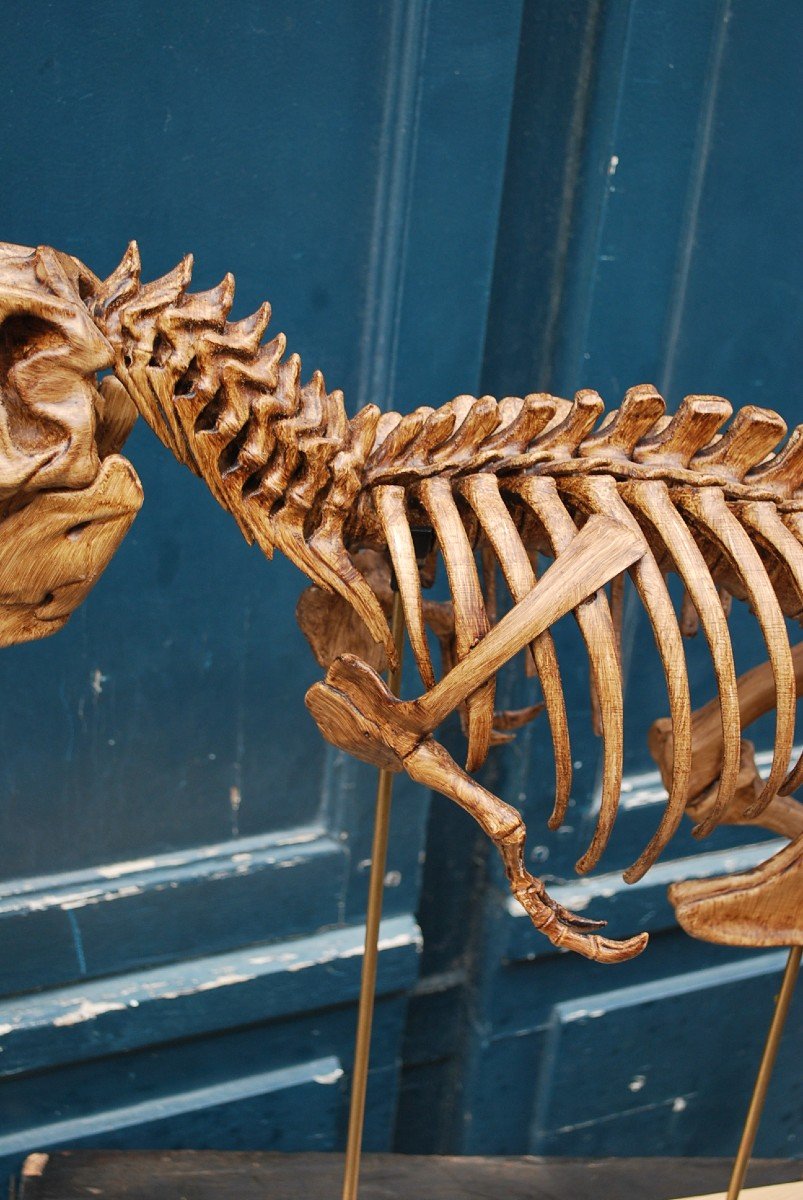 Complete T-rex Skeleton Print -photo-3