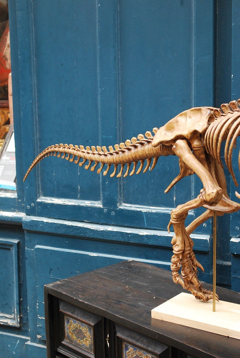 Complete T-rex Skeleton Print -photo-6