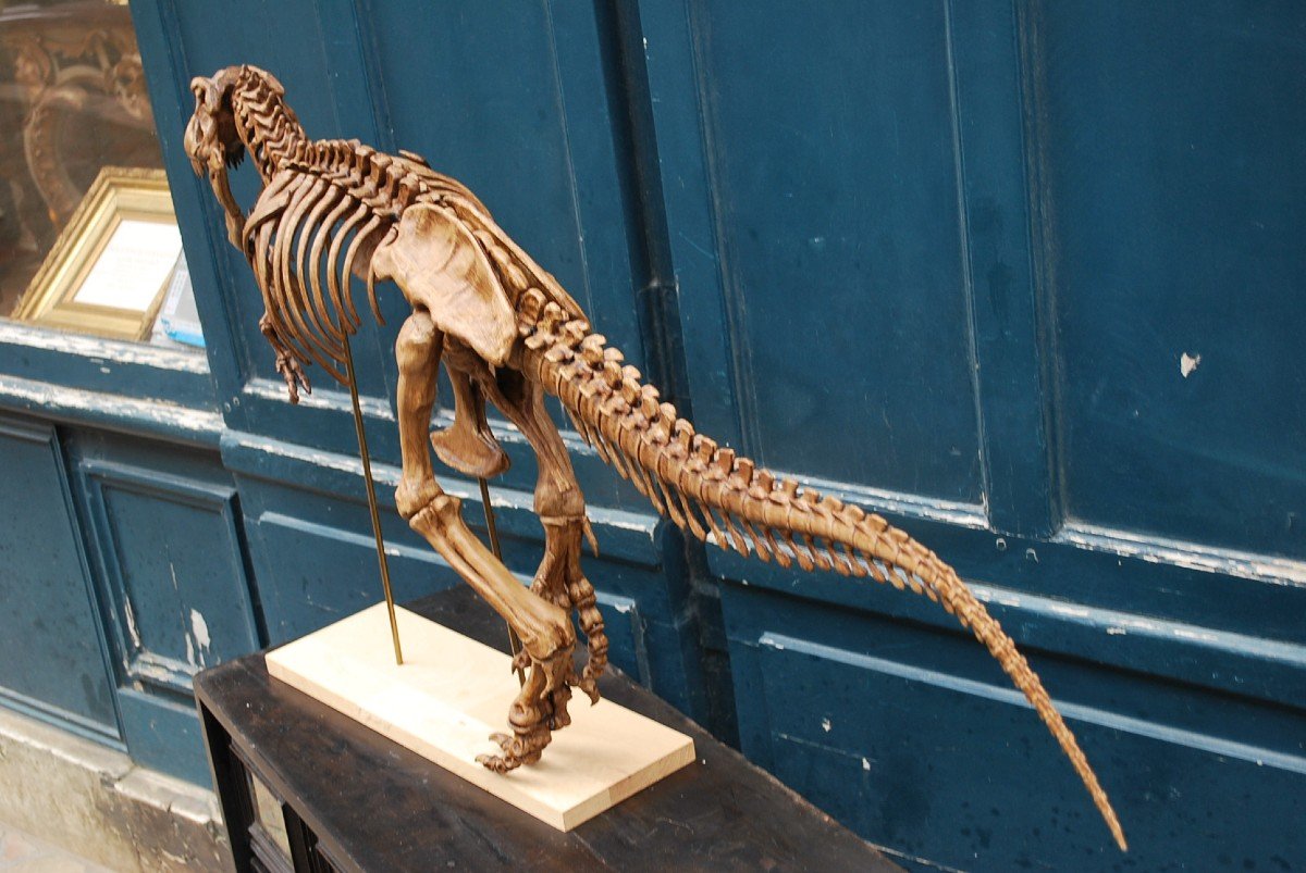 Complete T-rex Skeleton Print -photo-7