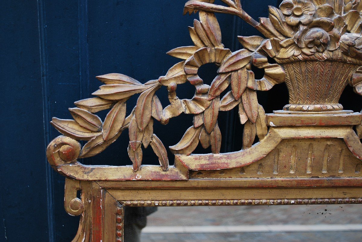 Miroir Directoire Bois Doré Attributs Du Jardin-photo-1