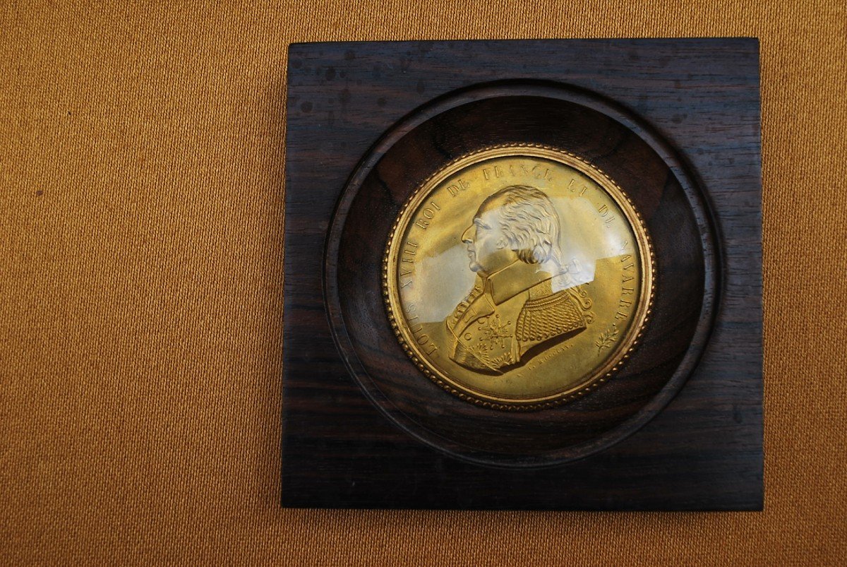 Louis  XVIII , Médaille En Bronze Encadrée  XIX-photo-2