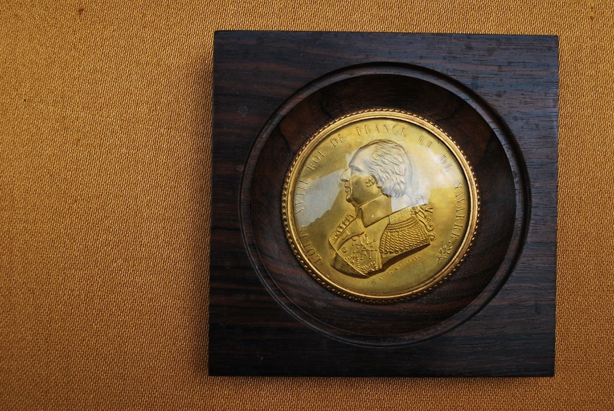 Louis  XVIII , Médaille En Bronze Encadrée  XIX