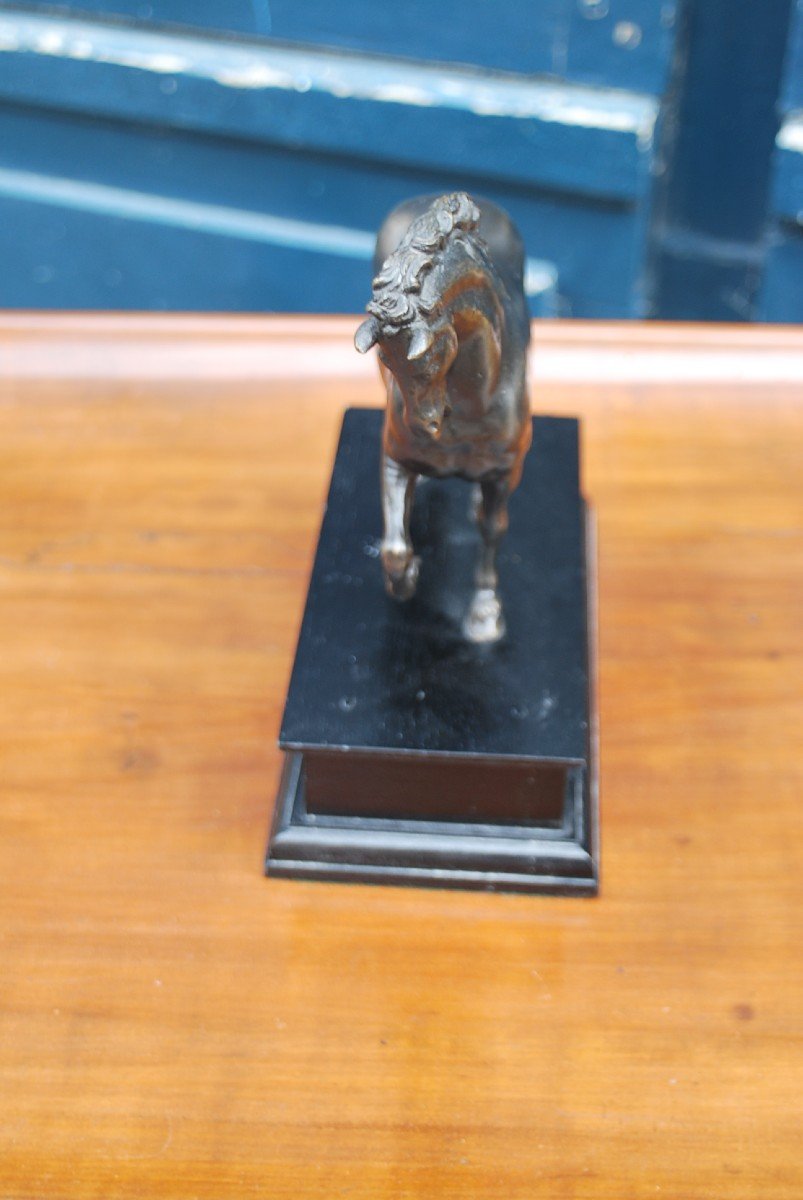 Bronze "horse At Paasage" After Antonio Susini, Work From The 19th Century -photo-2
