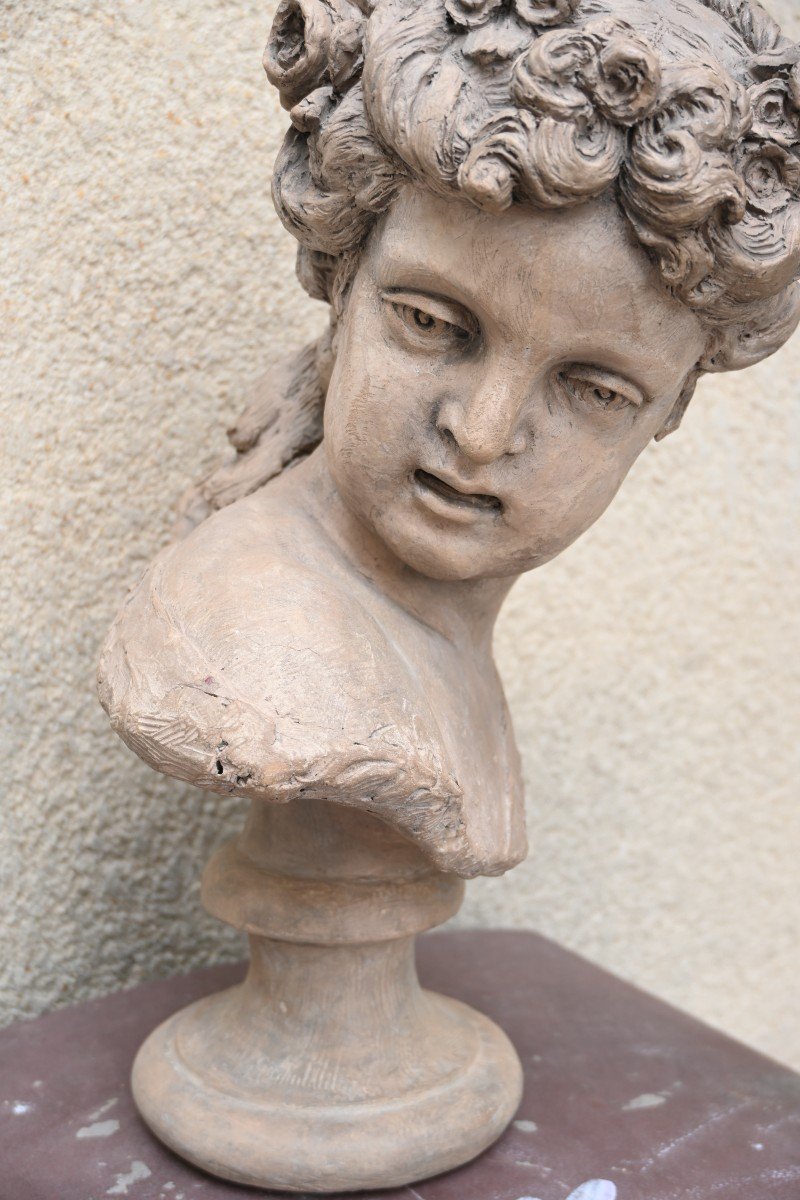 Terracotta Bust Of Young Woman D After Bouchardon -photo-7