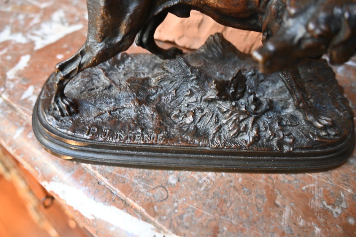 Pierre Jules Mène   Chien D Arrêt , Bronze-photo-2