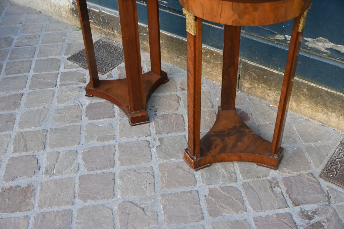 Pair Of 19th Century Empire Style Pedestal Tables Or Stands-photo-4