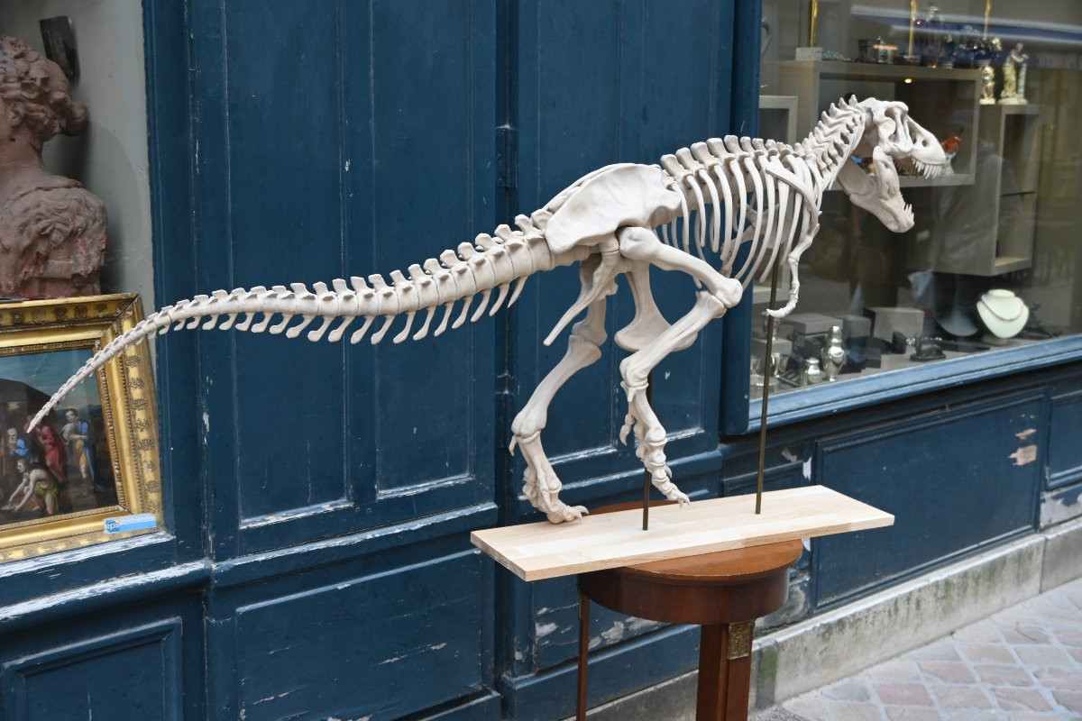 T Rex In Starch Resin Composition-photo-2