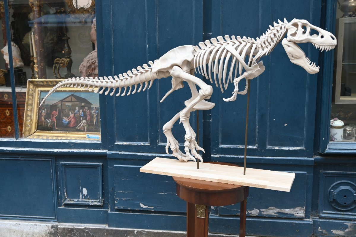 T Rex In Starch Resin Composition-photo-8