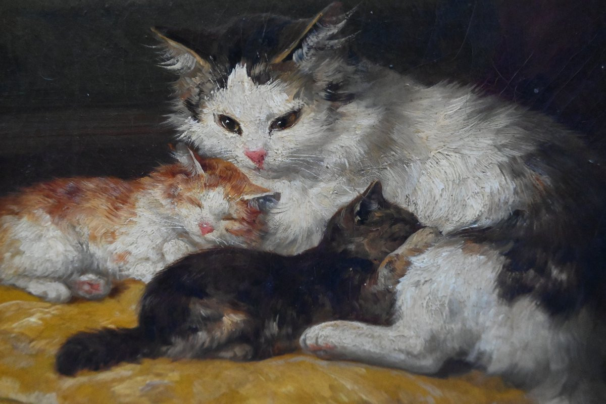 Cat And Kittens Canvas Signed By Yvonne Laur-photo-3