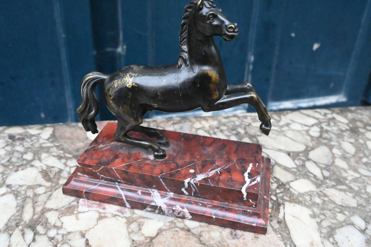 Cheval cabré en bronze , école italienne du XVIII-photo-2