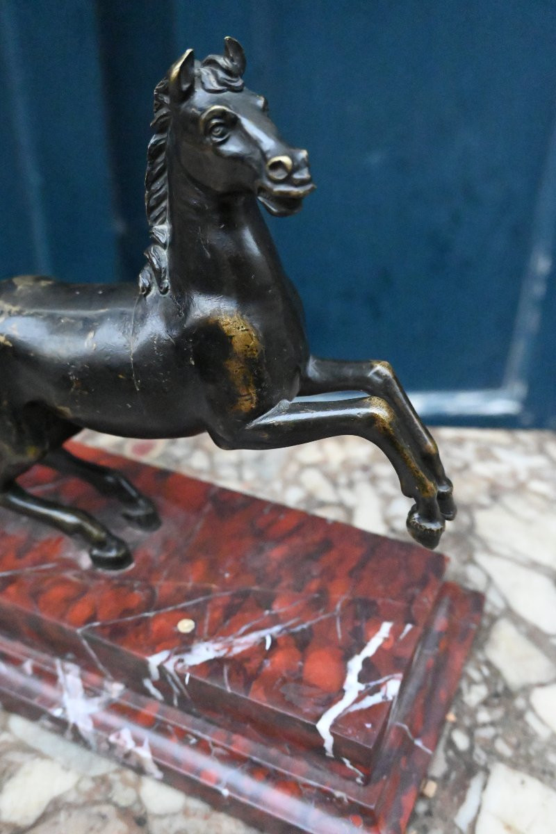 Cheval cabré en bronze , école italienne du XVIII-photo-3