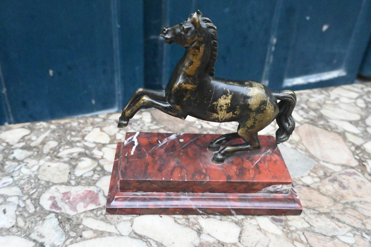Cheval cabré en bronze , école italienne du XVIII-photo-4