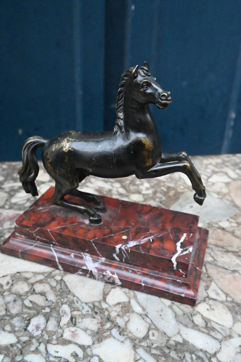 Cheval cabré en bronze , école italienne du XVIII-photo-2