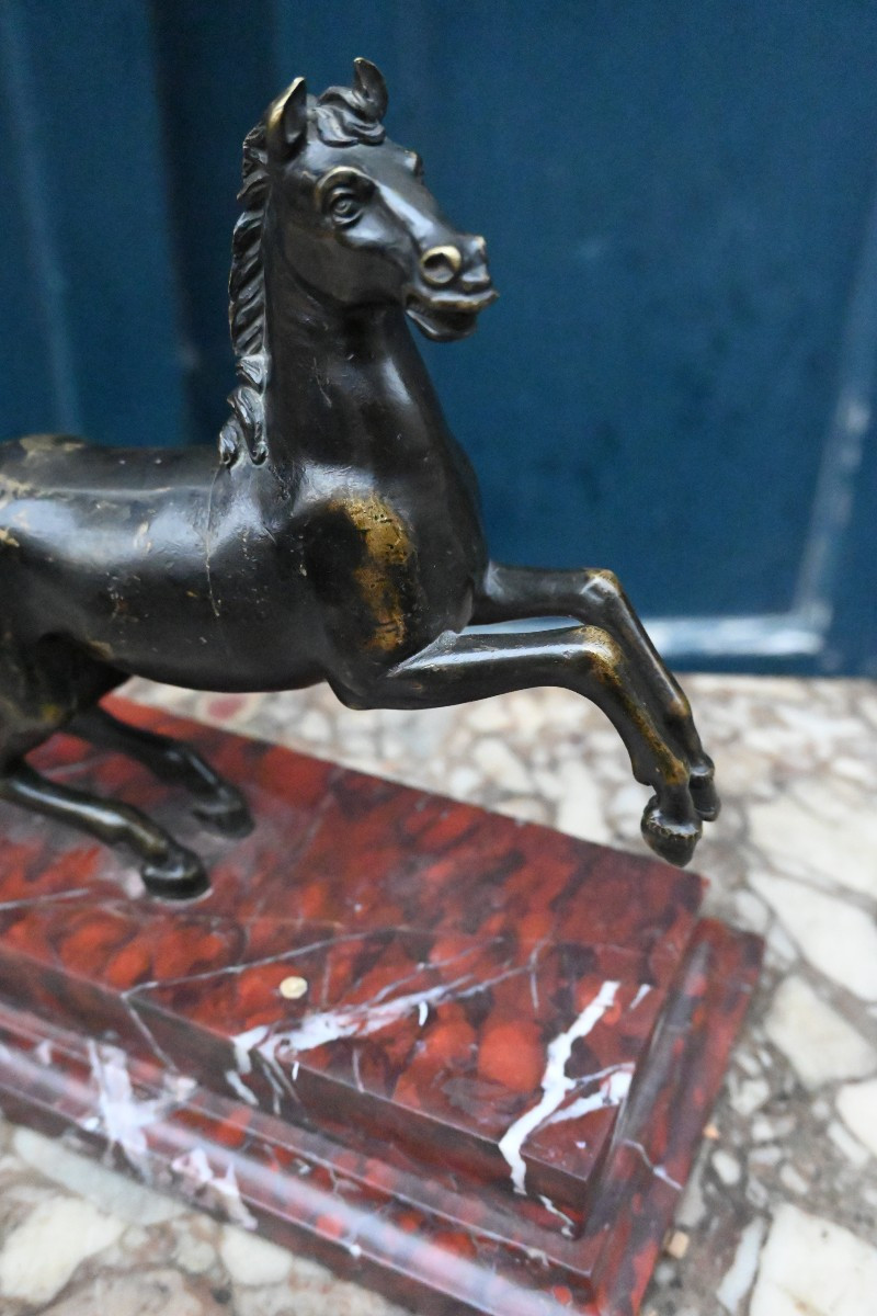Cheval cabré en bronze , école italienne du XVIII