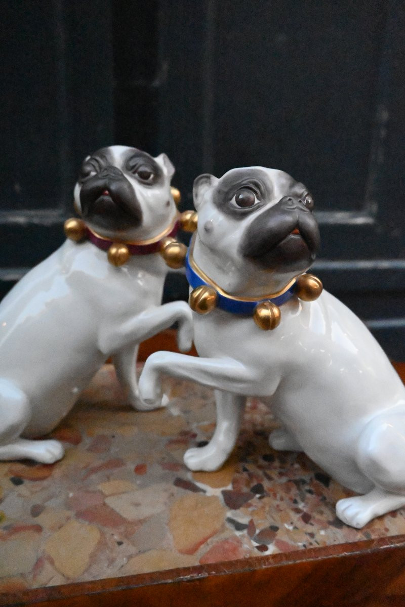 Couple de carlins en porcelaine allemande -photo-2