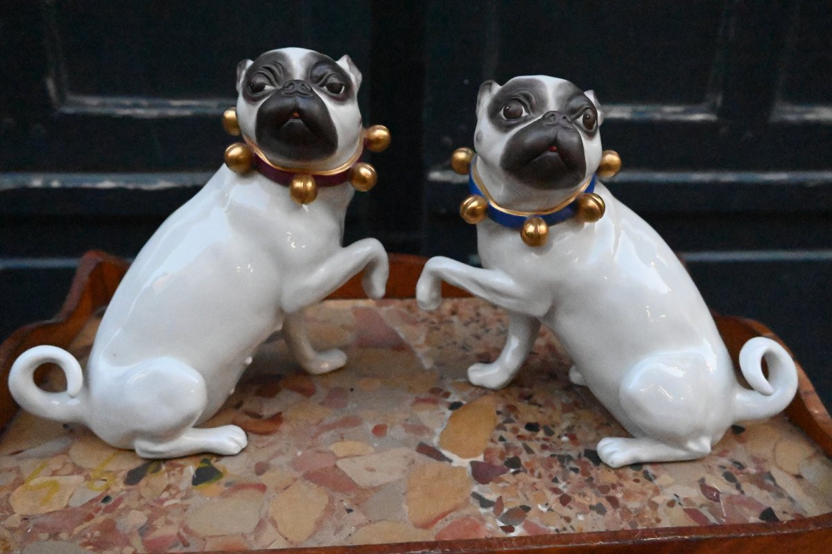 Couple de carlins en porcelaine allemande -photo-7