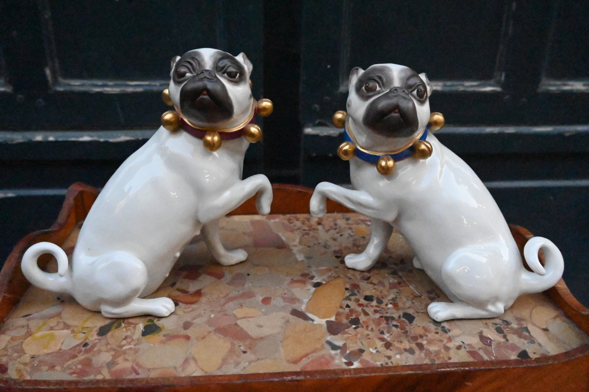 Couple de carlins en porcelaine allemande 