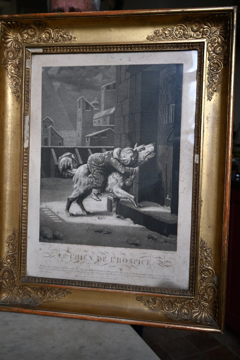 Paire de gravures du XIX  chiens , dans des cadres Empire du XIX-photo-2