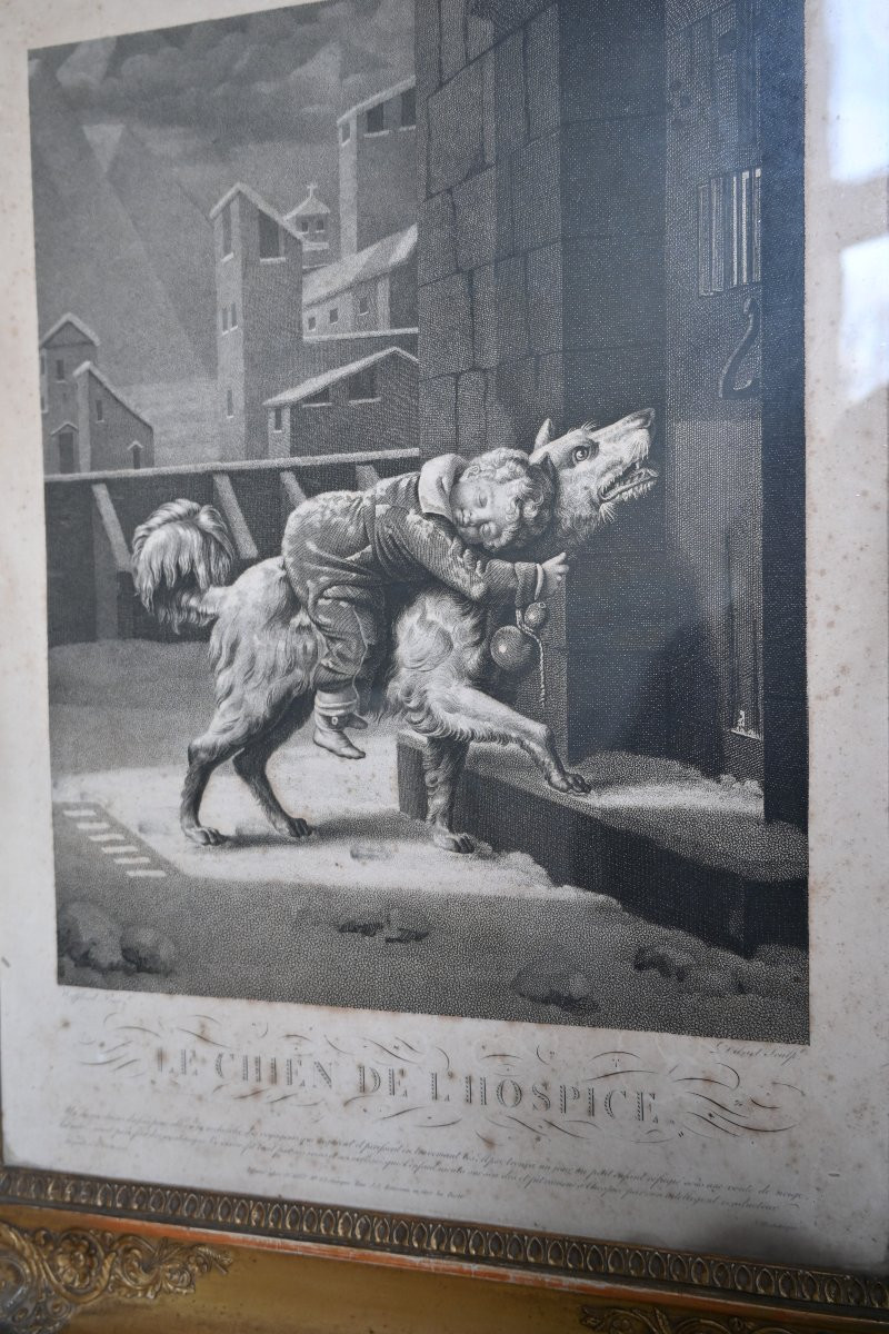 Paire de gravures du XIX  chiens , dans des cadres Empire du XIX-photo-3