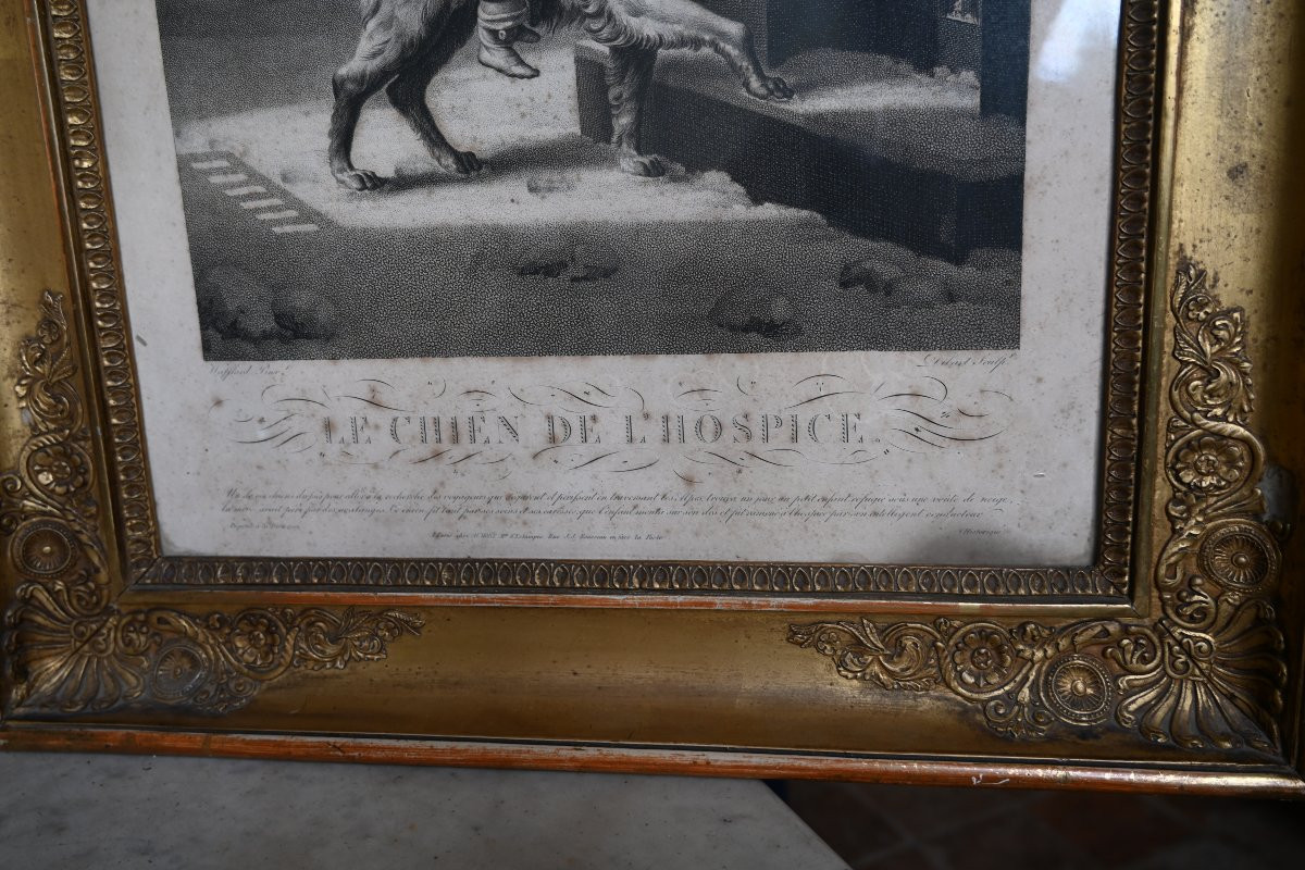 Paire de gravures du XIX  chiens , dans des cadres Empire du XIX-photo-4