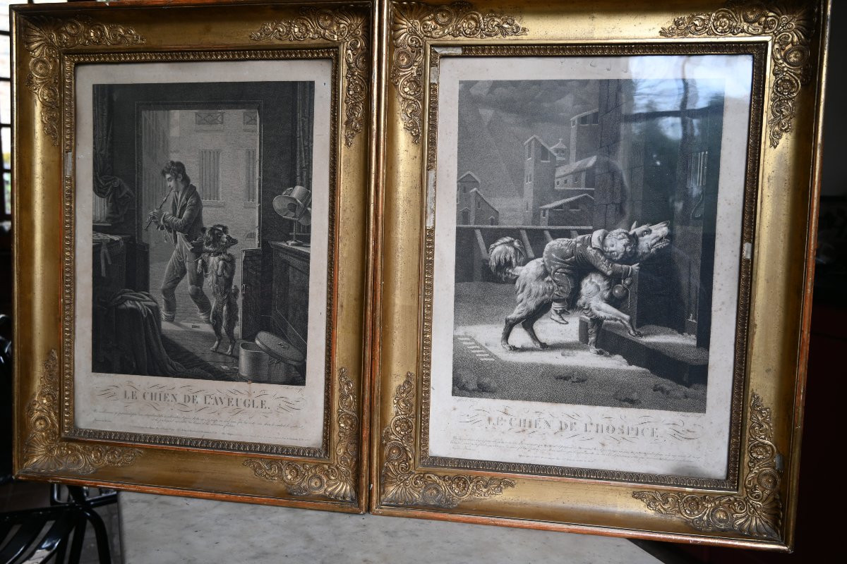 Paire de gravures du XIX  chiens , dans des cadres Empire du XIX-photo-6