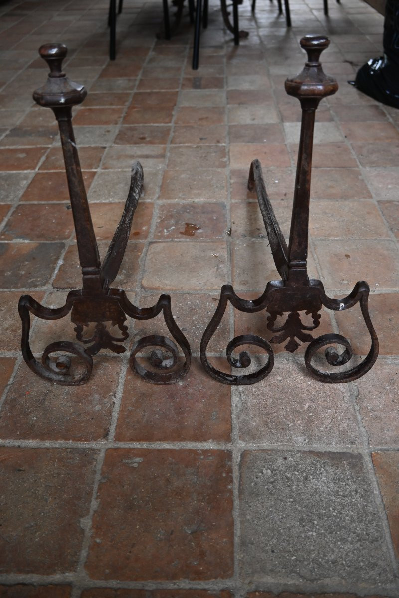 Pair Of Louis XIV Period Cut Iron Andirons-photo-7