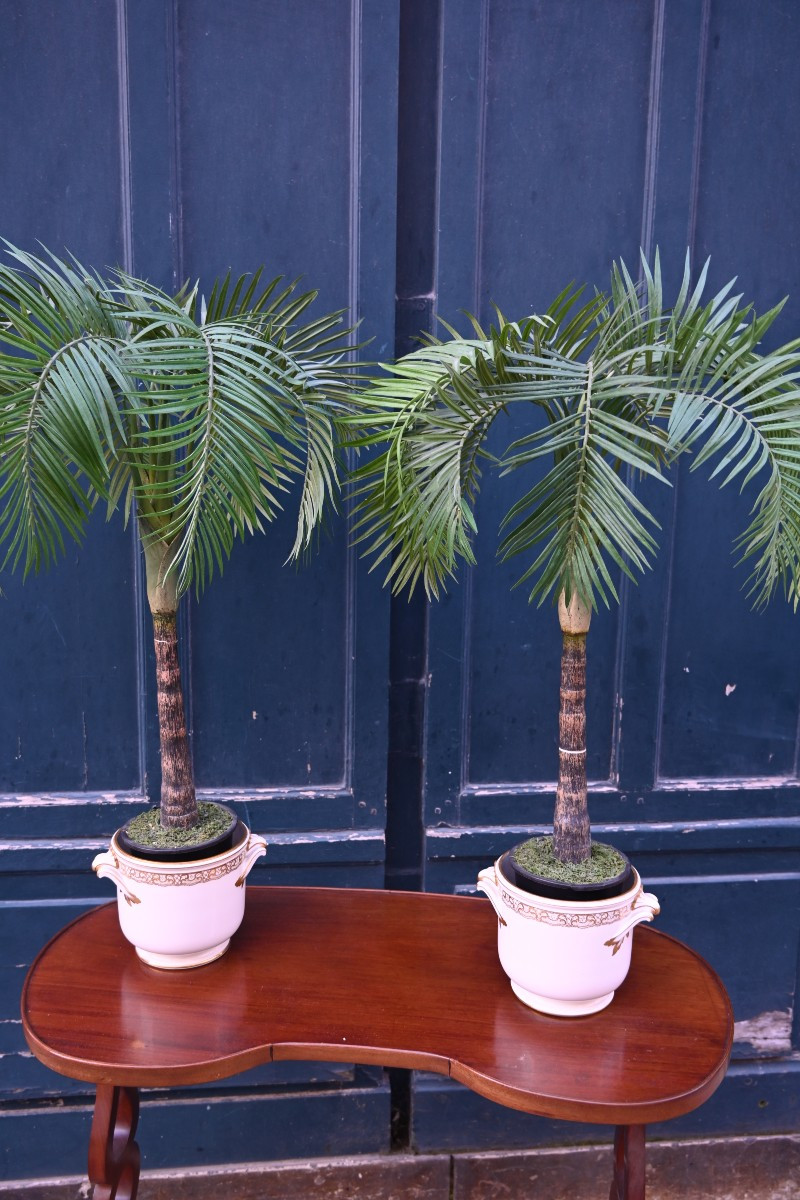 Sèvres , genre de , paire de cache pots en porcelaine