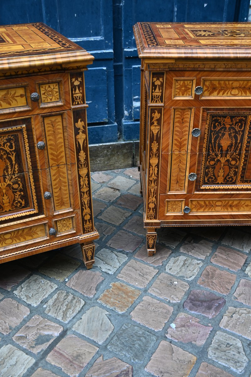 Pair Of Large Italian Chests Of Drawers, Late 19th Century, In The Style Of Giuseppe Maggiolini-photo-2
