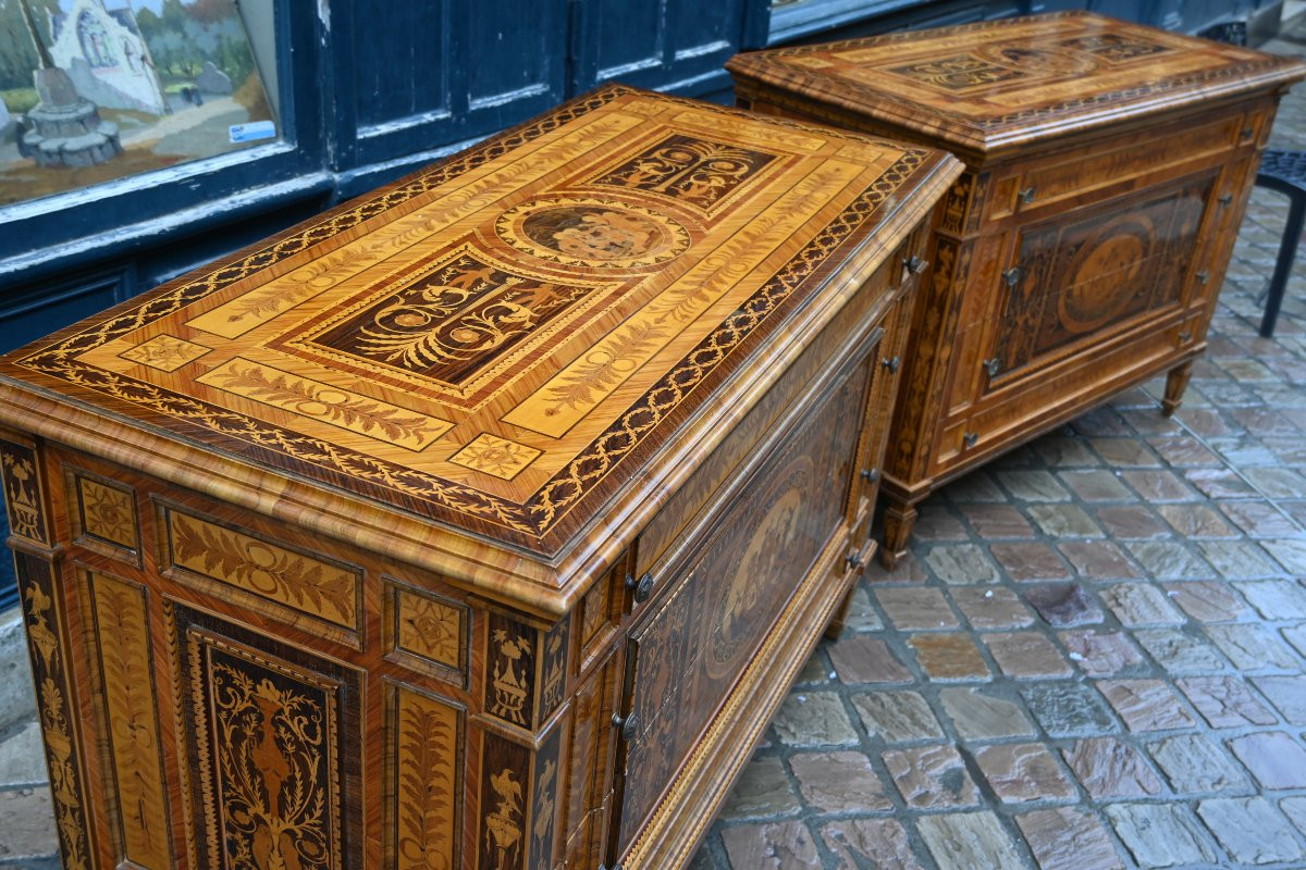 Pair Of Large Italian Chests Of Drawers, Late 19th Century, In The Style Of Giuseppe Maggiolini-photo-8