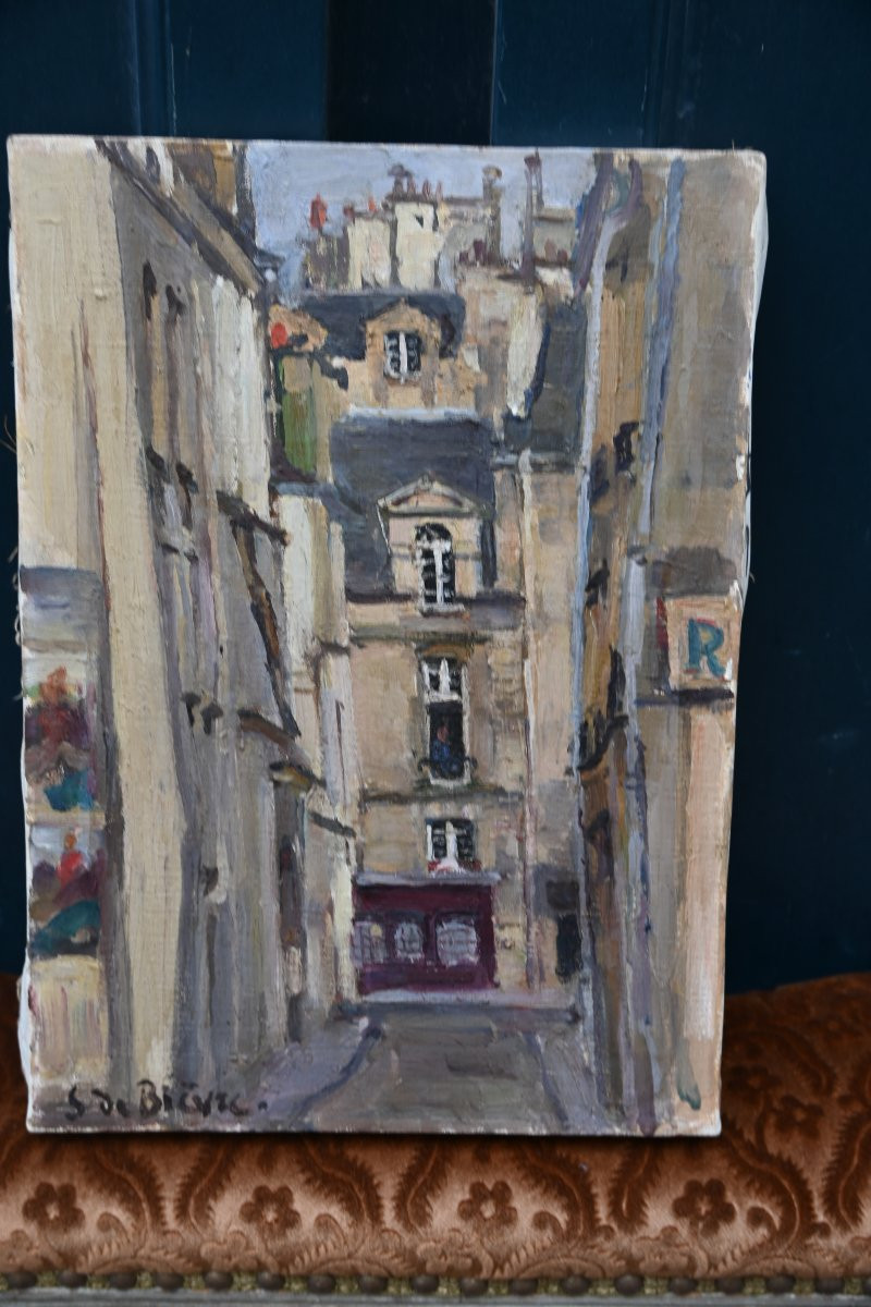 The Marsh In Paris, Oil Painting Signed By Solange De Bièvre, 20th Century-photo-4