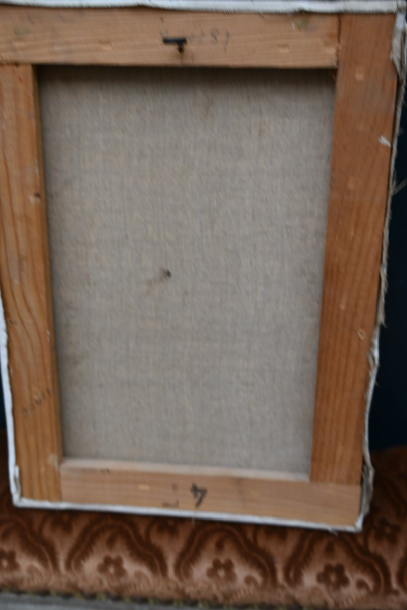 The Marsh In Paris, Oil Painting Signed By Solange De Bièvre, 20th Century-photo-5