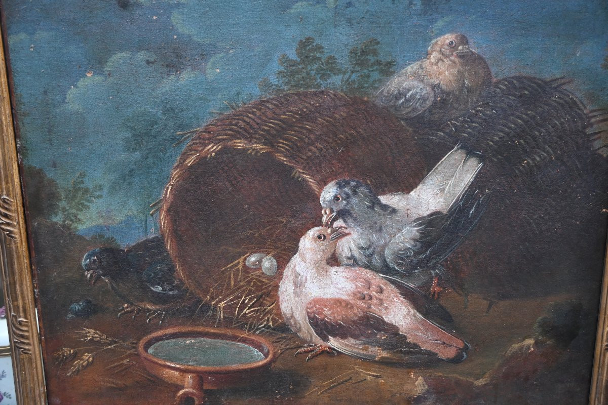 Jen baptiste Huet , entourage , couple de pigeons école XVIII-photo-4