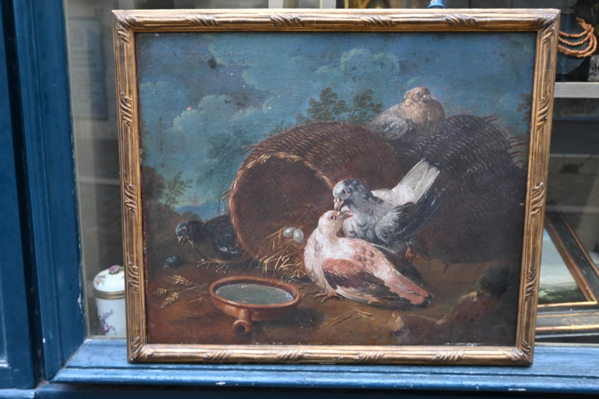 Jen baptiste Huet , entourage , couple de pigeons école XVIII