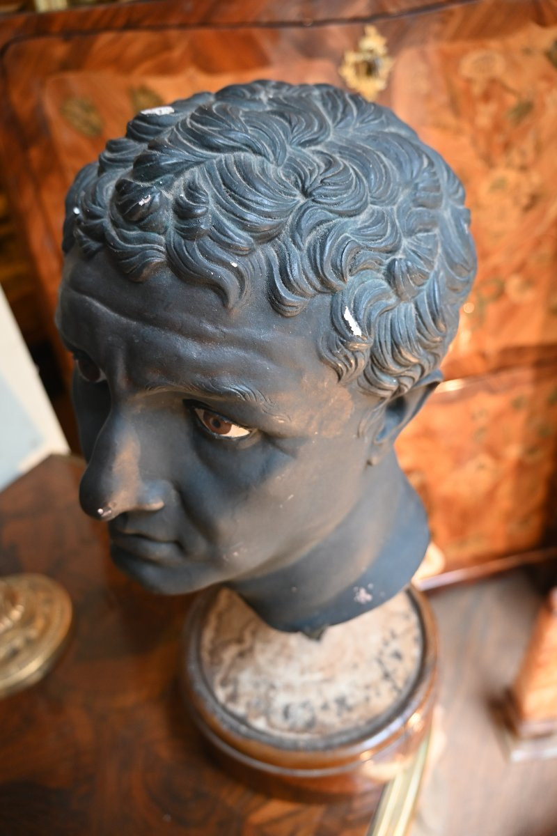 Bust Of Emperor Augustus, In Black Patinated Plaster.  -photo-3